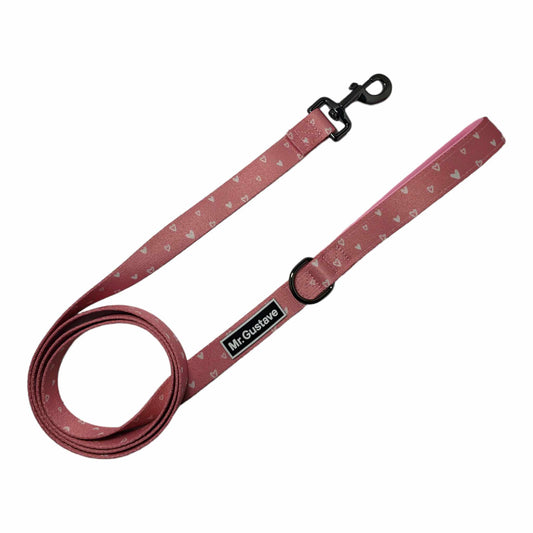 Crazy In Love Dog Leash