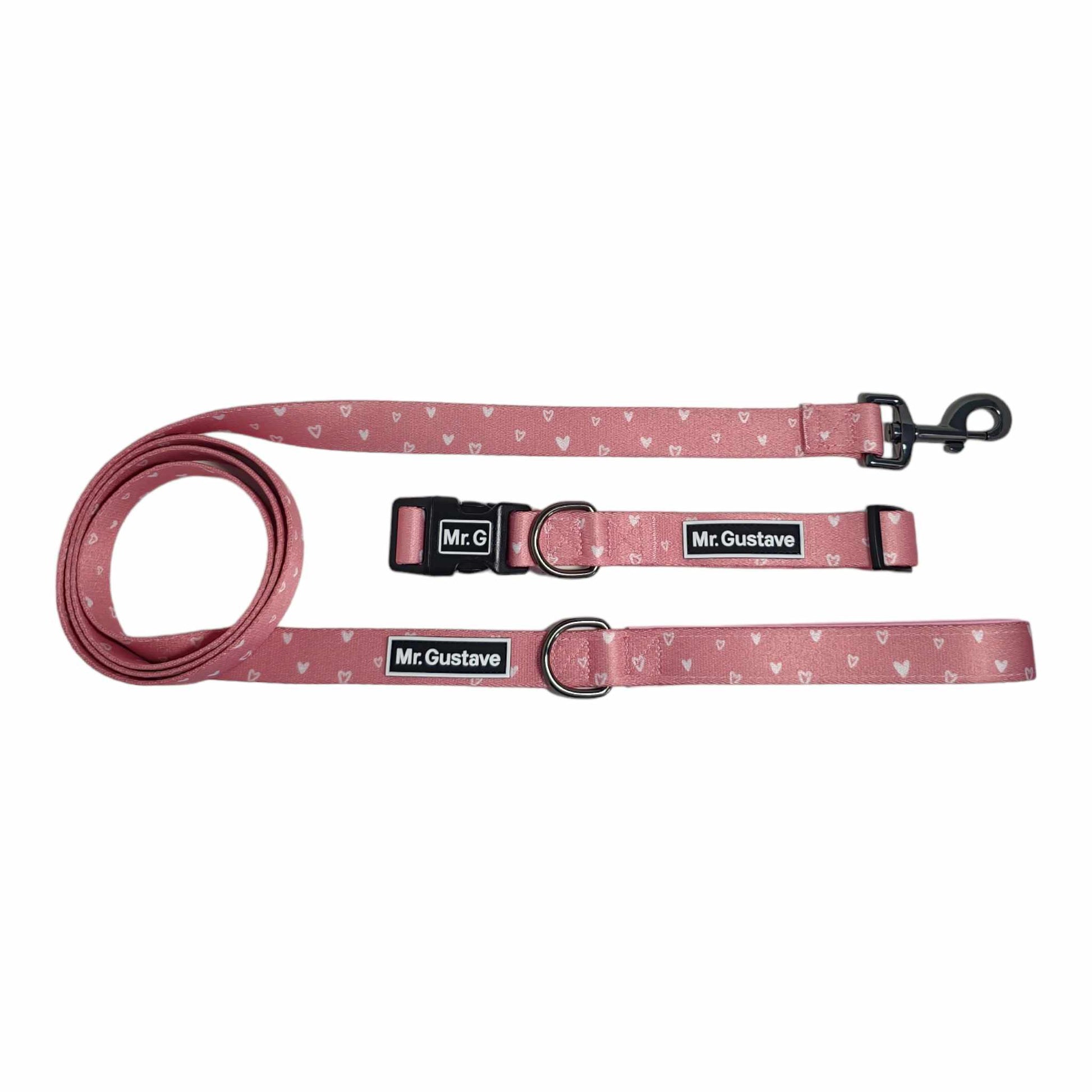 Crazy In Love Dog Collar and Leash Set