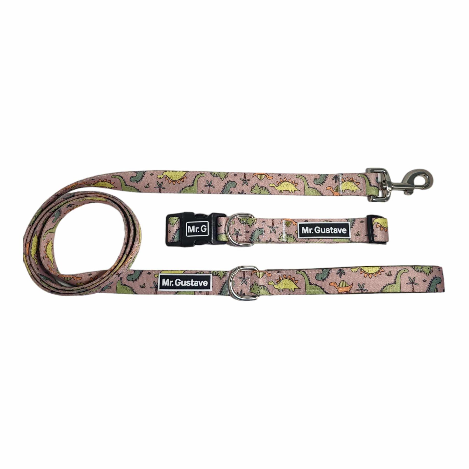 Jurassic Dog Collar and Leash Set