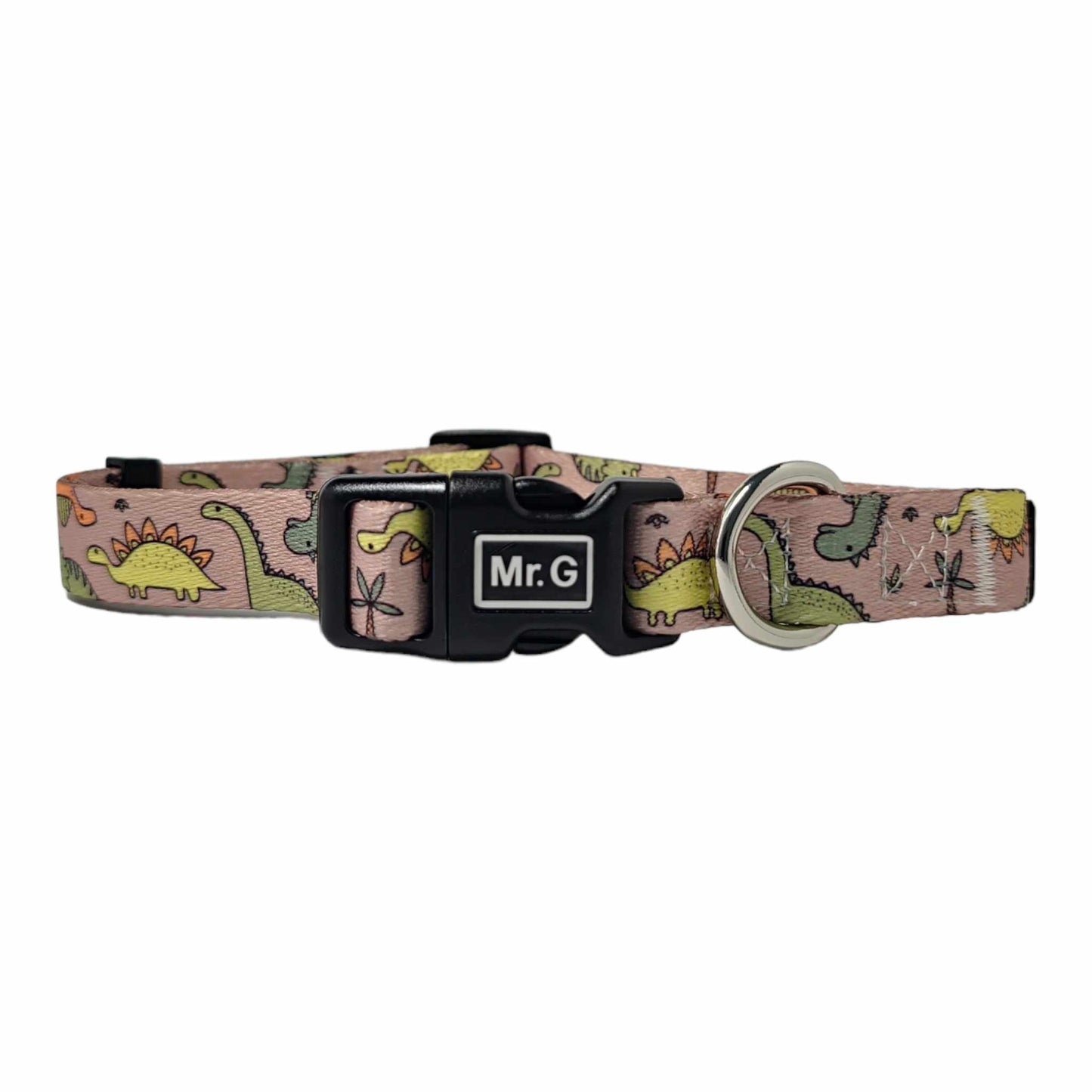 Jurassic Dog Collar and Leash Set