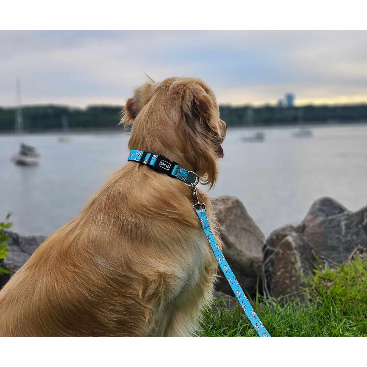 Ensemble collier et laisse pour chien Mode avion