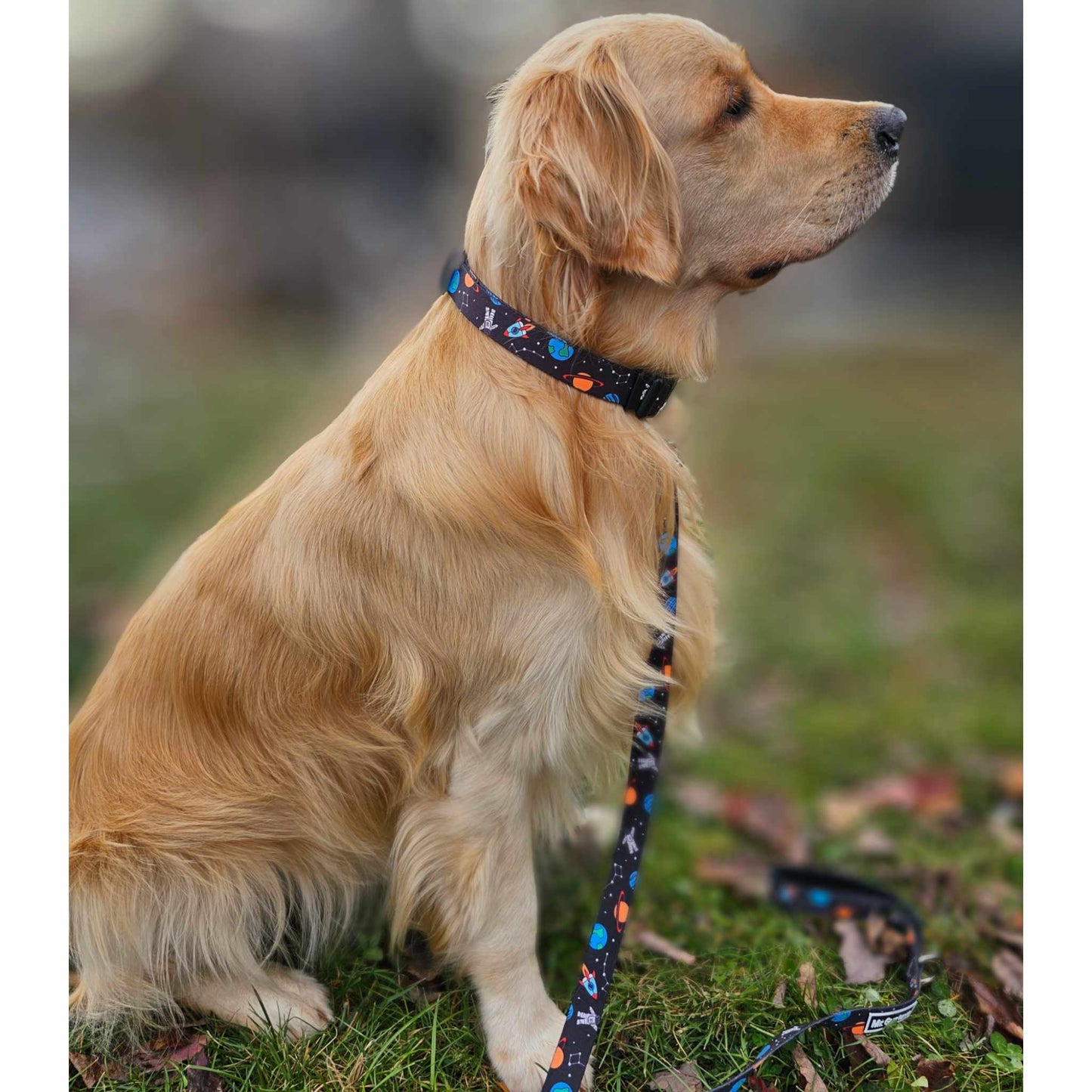 Ensemble collier et laisse pour chien Apollo 11