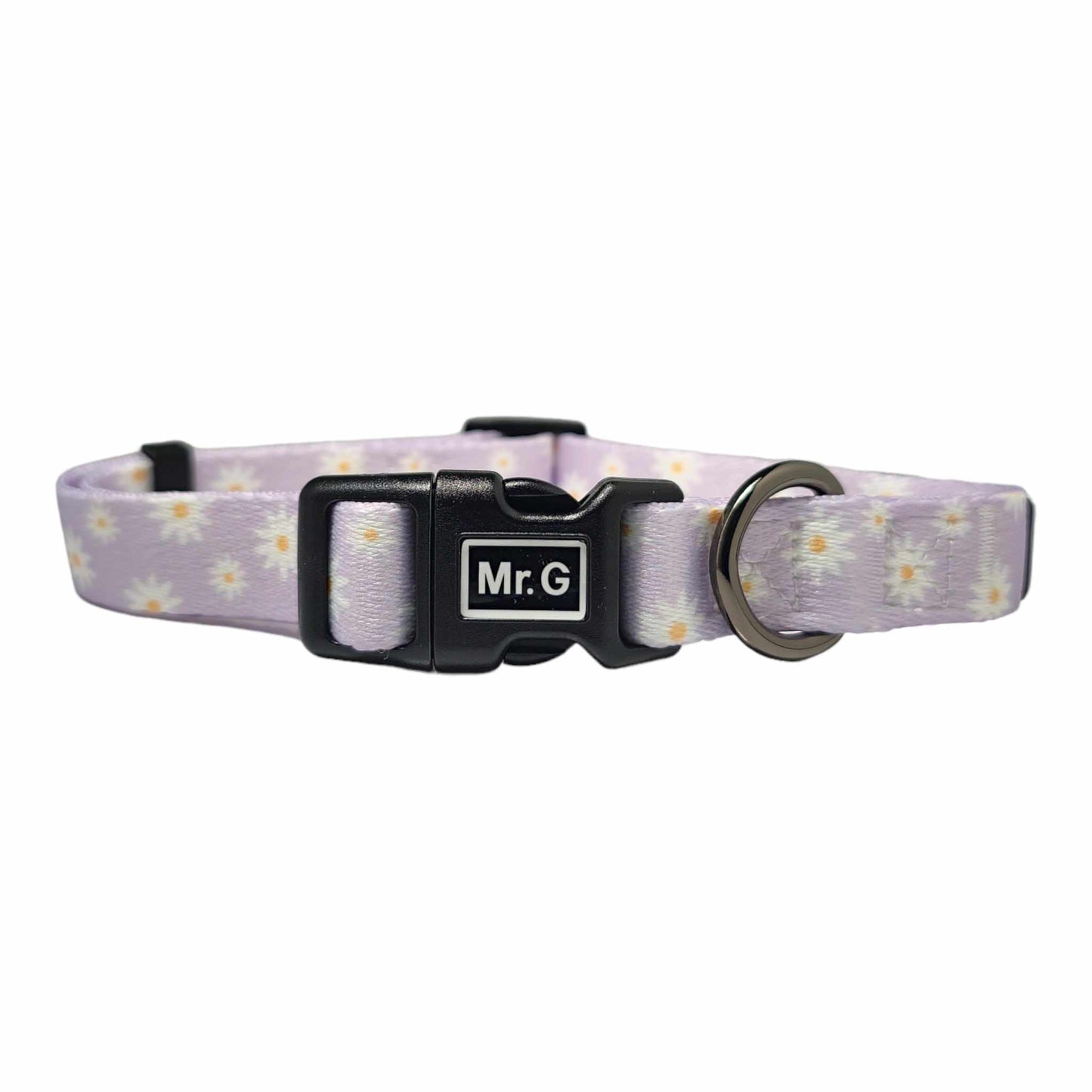 Miss Daisy Dog Collar and Leash Set